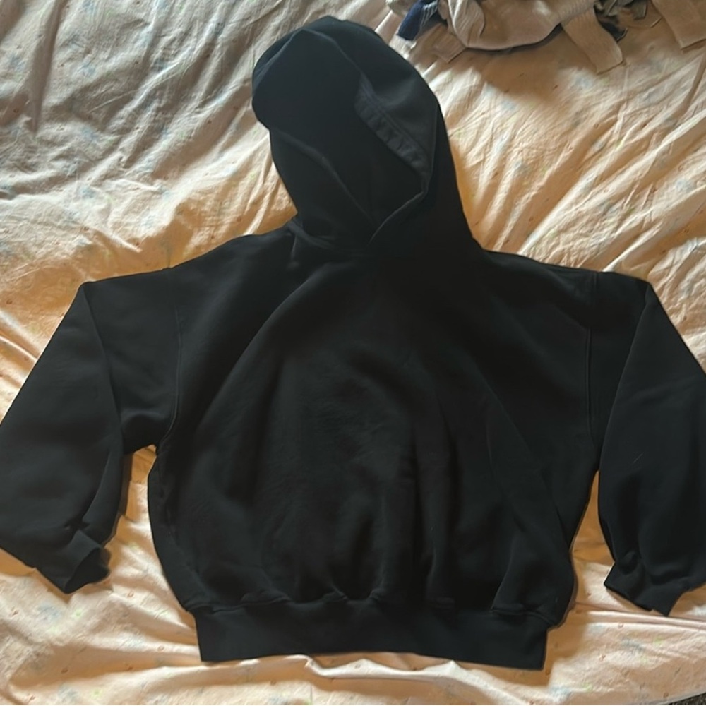 Aritzia hoodie